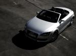 Audi TT Roadster 2007 года (WW)